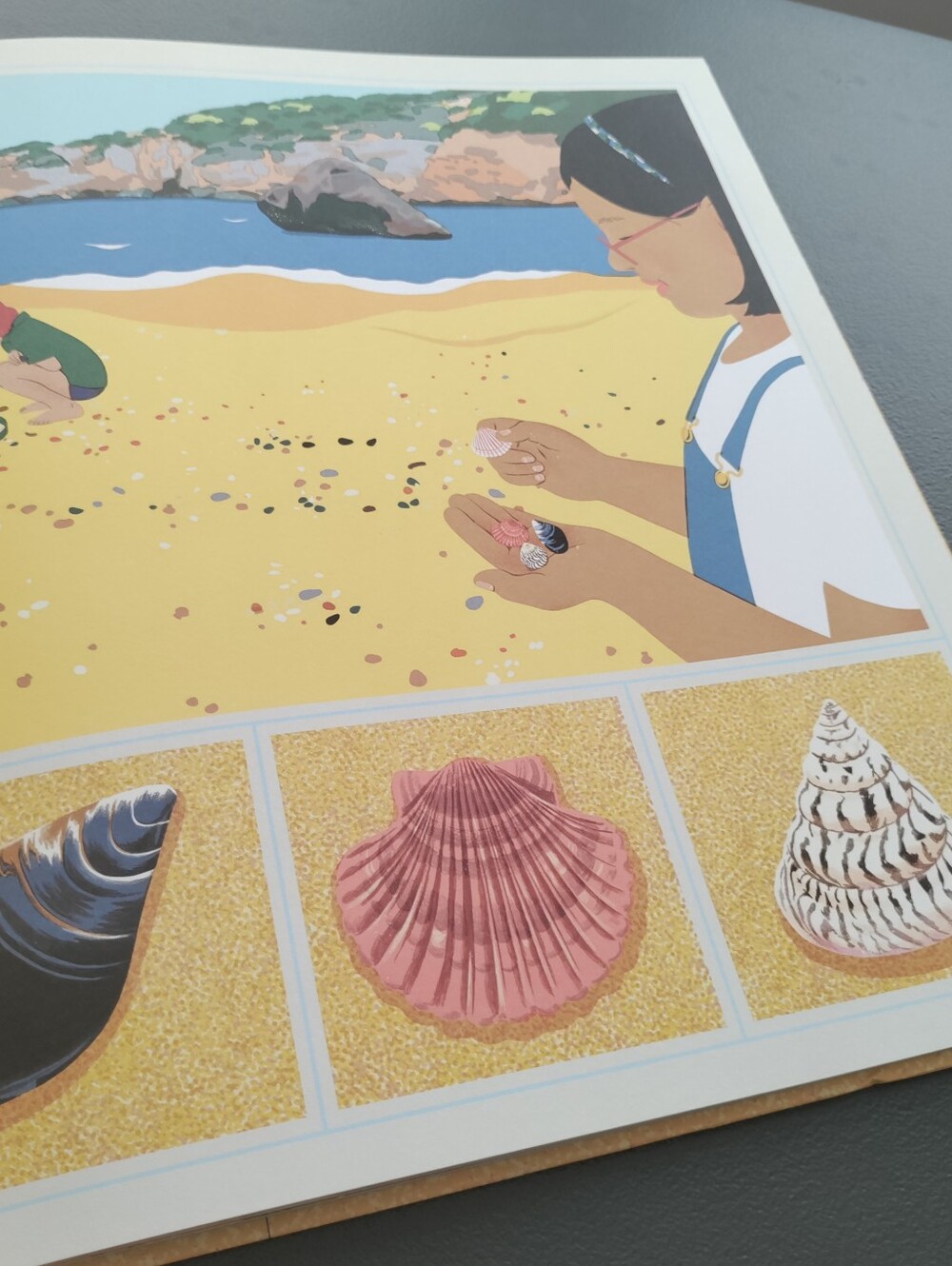 What a Shell Can Tell - Picture 12 of 16